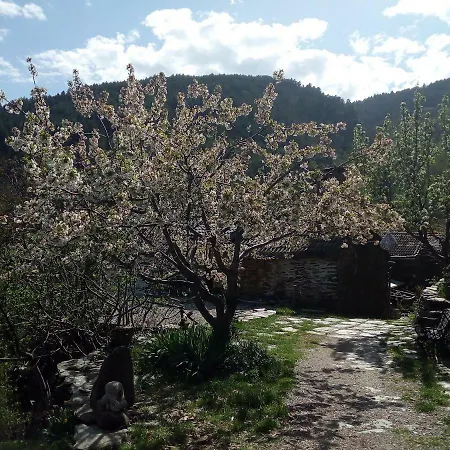 Les Masades Holiday home *