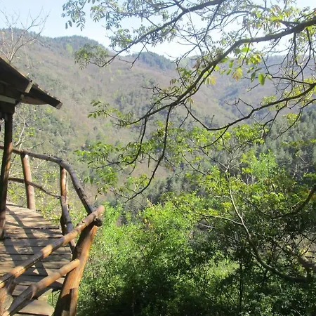 Les Masades Holiday home *